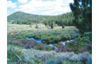 Property photo 3 - Get Lost in the Pristine Northern Colorado Rockies - Prime Building Sites